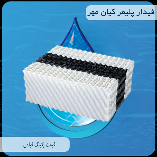 پکینگ فیلمی