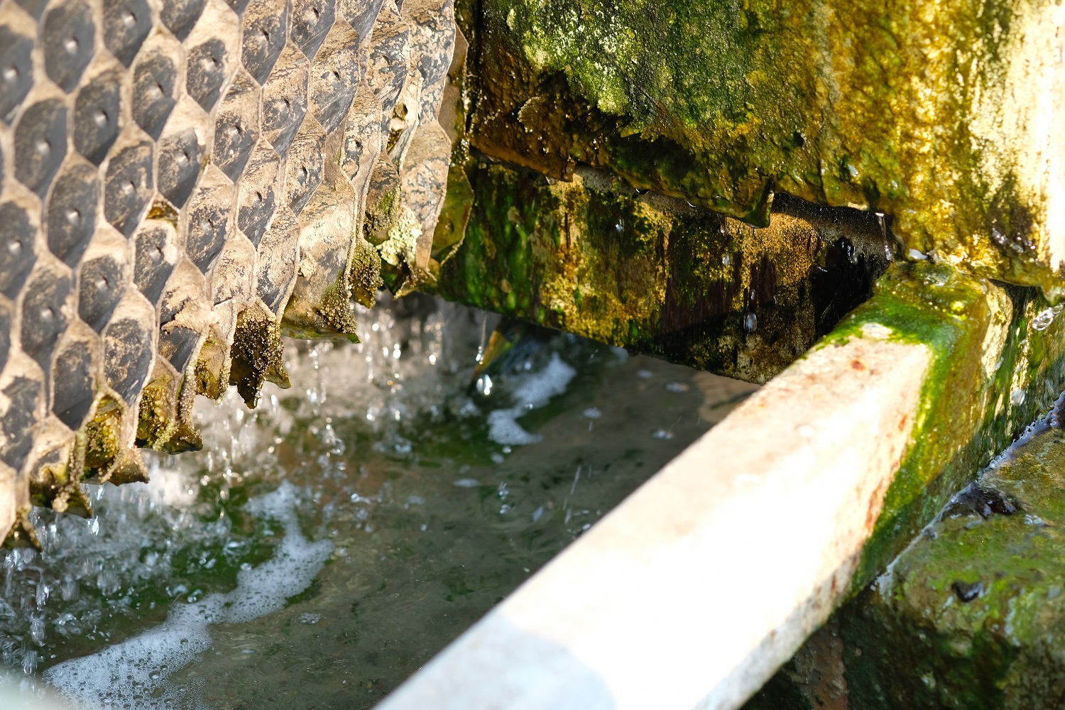 جلبک پکینگ برج خنک کننده 